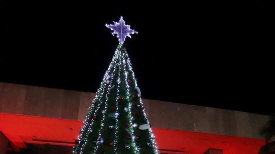 Inicia diciembre con el encendido del tradicional árbol navideño en la explanada del Palacio de Gobierno