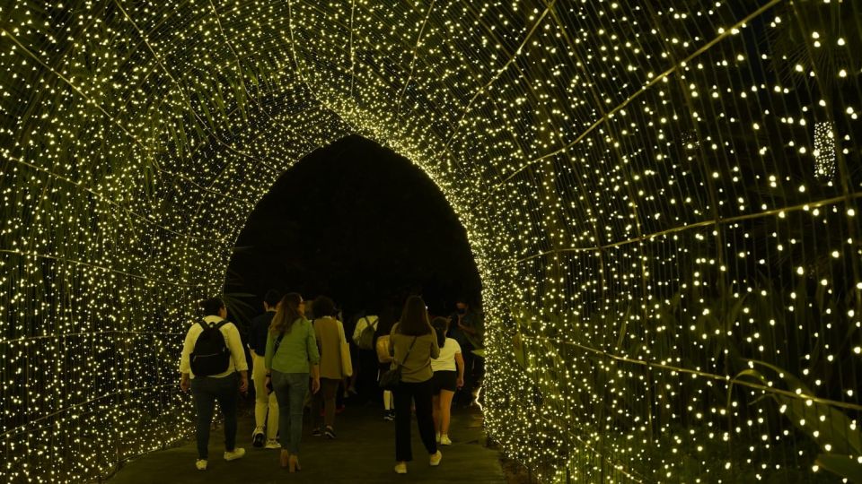 Invitan a vivir la "Navidad en el Botánico" y disfrutar de las luces en el Jardín