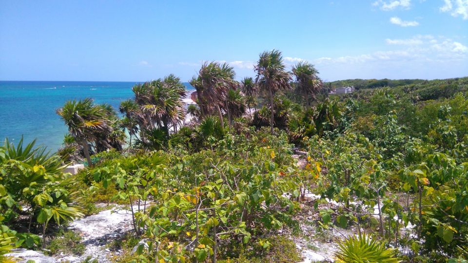 La Semarnat resguarda el Área Natural Protegida del Parque Nacional Tulum