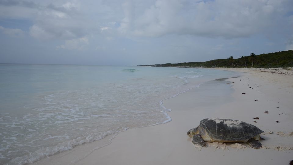 La Semarnat resguarda el Área Natural Protegida del Parque Nacional Tulum