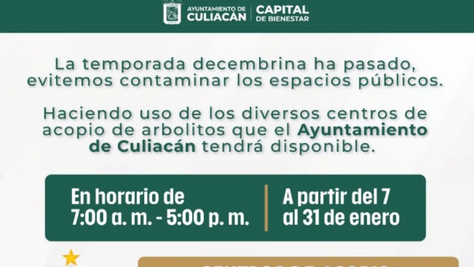 Reciben árboles navideños en centros de acopio en Culiacán