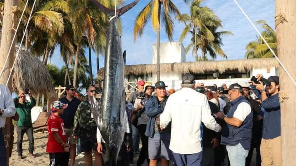 Rotundo éxito el Primer Torneo de Pesca Bill Fish Altata 2023