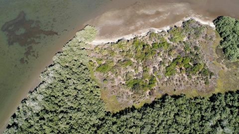 Es urgente la restauración de los humedales en Sinaloa