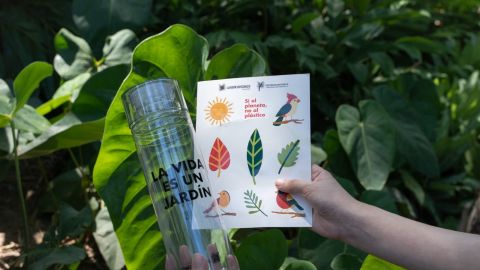 En el Jardín Botánico de Culiacán puedes encontrar el detalle ideal para este 14 de febrero