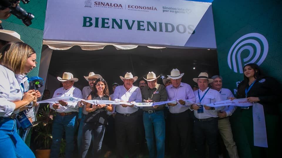 Propone Rocha a titular de Agricultura Federal establecer un precio de garantía a la comercialización del maíz