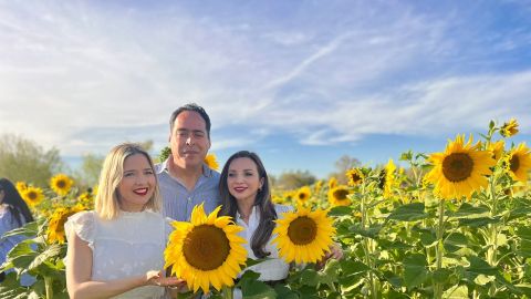 Ya puedes visitar el campo de girasoles en el  Pueblo Mágico de Mocorito