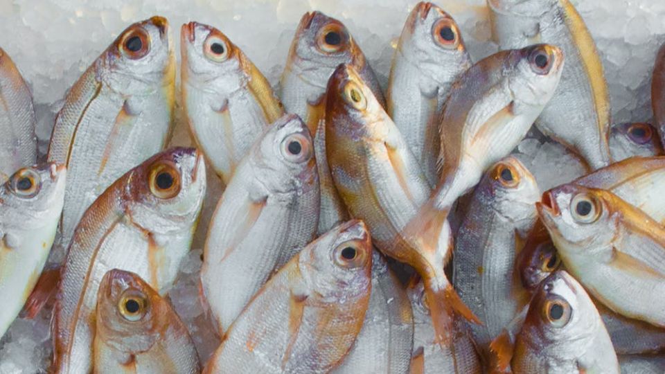 ¡Mucho ojo!  esto debemos tomar en cuenta al comprar pescado y cuidar nuestro bolsillo