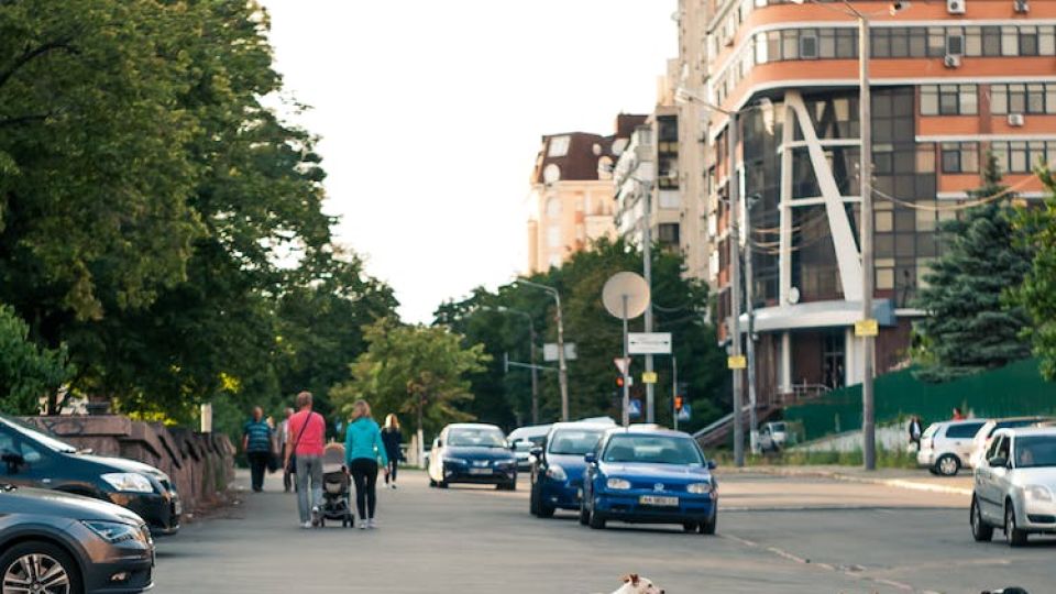 Buscan que en principales vialidades de ciudades se incluyan "pasos peatonales para animales"