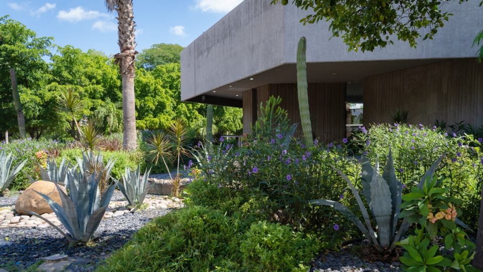 Transforman áreas verdes del Instituto Sinaloense de Cultura