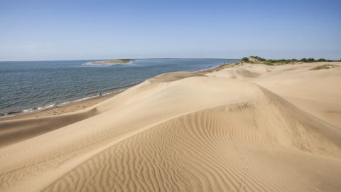 Piden visitar con responsabilidad la bahía Santa María