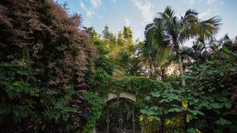 Disfruta de la Semana Santa en el Jardín Botánico de Culiacán