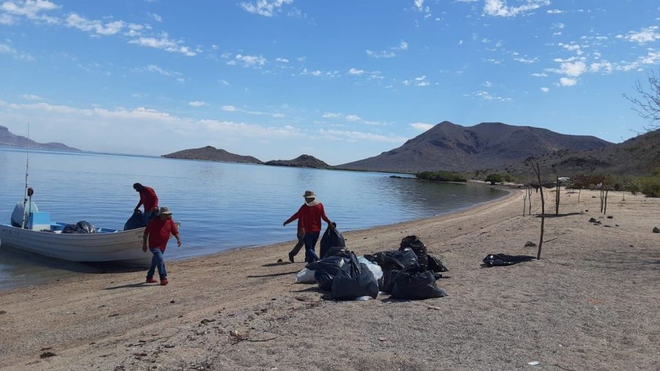 Inició la limpieza de islas en Navachiste