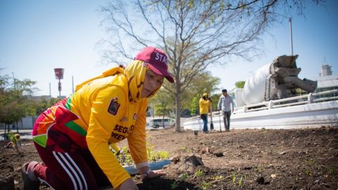 Avanza embellecimiento de jardines ornamentales en Culiacán