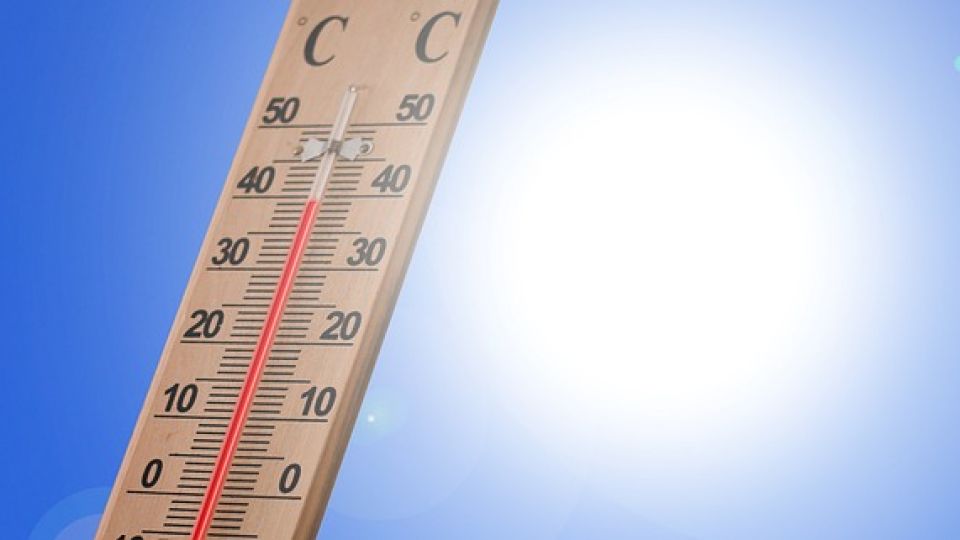 Conoce las recomendaciones para evitar daños por altas temperaturas