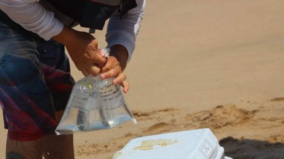 Analizan agua de Playas de Mazatlán previo al periodo vacacional