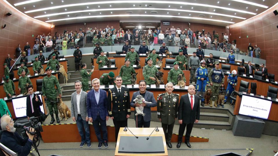 Para celebrar el Día del Perro, entrega Senado reconocimientos a binomios caninos