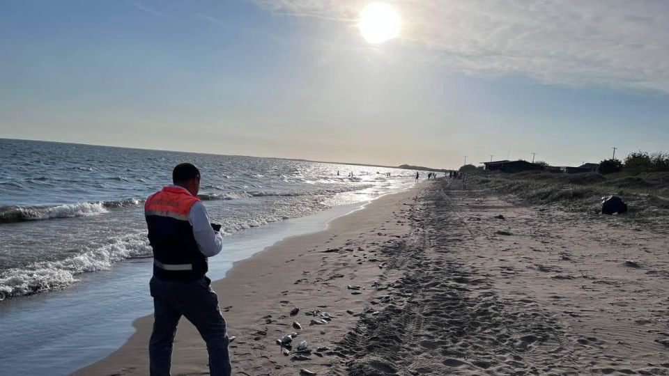 Supervisa la Bahía de Topolobampo y Playa El Maviri luego de la aparición de peces muertos