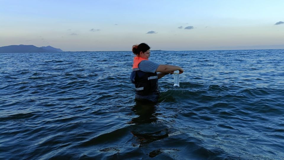 Todas las playas de Sinaloa son aptas para bañarse y no representan un riesgo para la salud