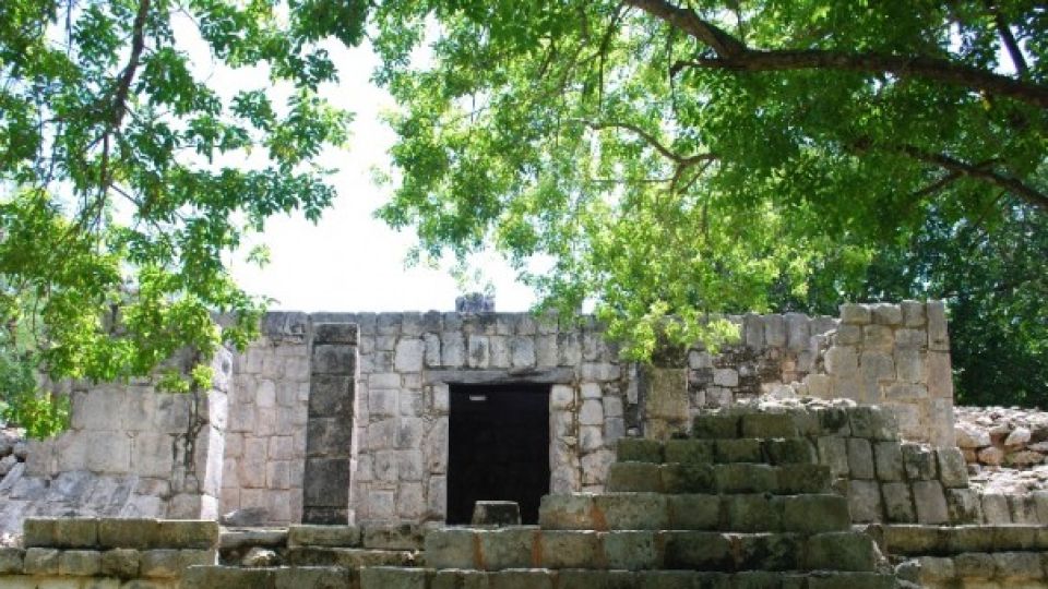 Tren Maya promueve investigación del patrimonio arqueológico en el sureste: Director del INAH