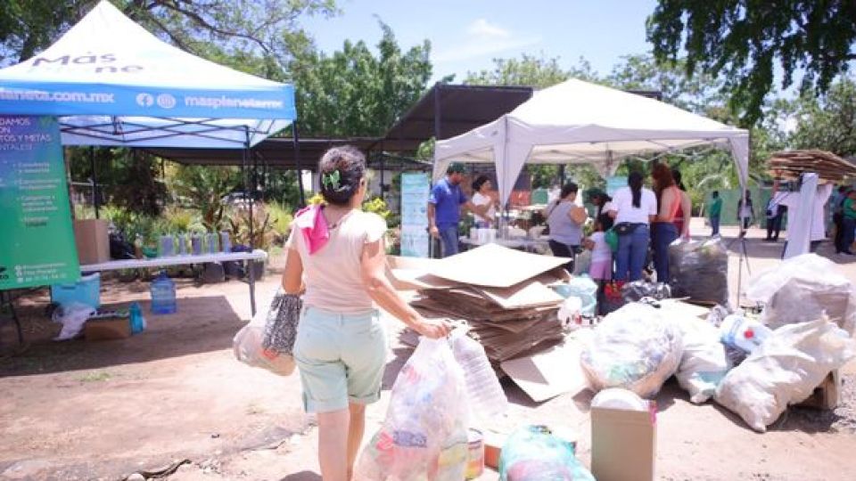 Recolectan 3.8 toneladas en el segunda edición del Reciclotón en El Vivero del Botánico