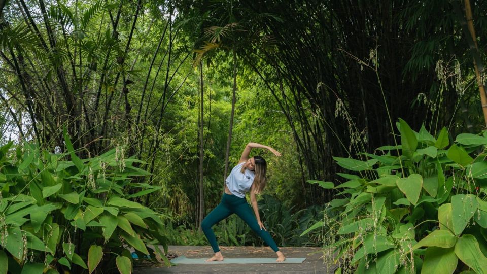 Durante septiembre realiza estas actividades gratuitas en el Jardín Botánico Culiacán