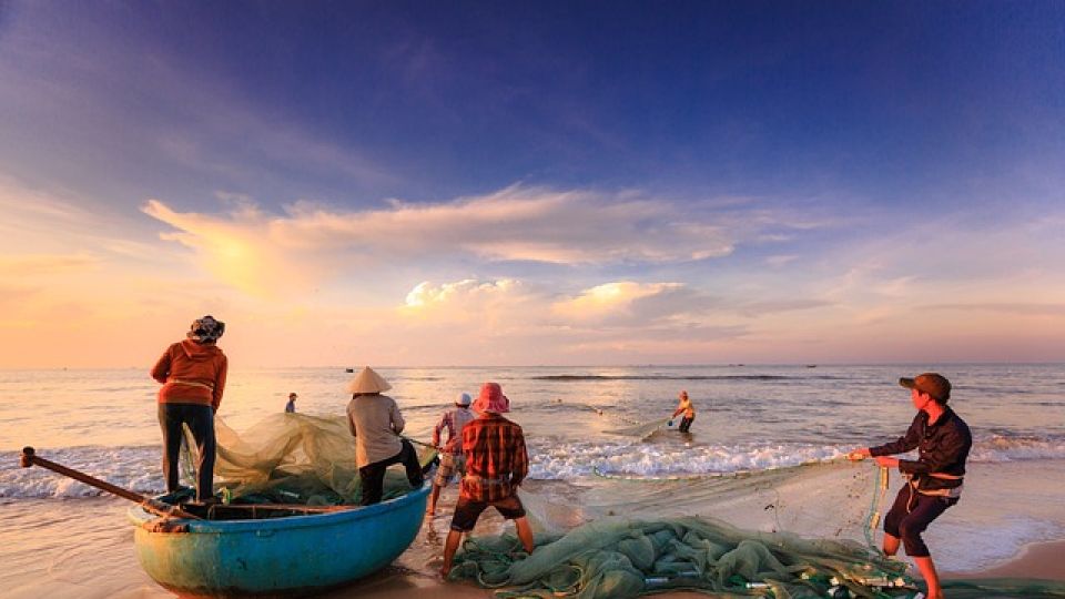 Anuncian apoyos para pescadores ante bajas capturas