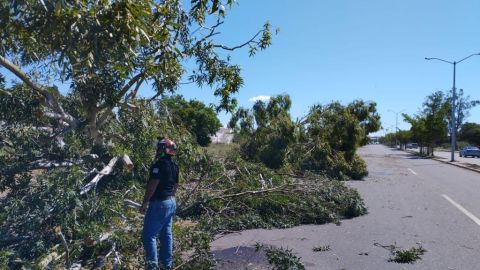 Inicia Protección Civil fase de recuperación por afectaciones de "Norma"