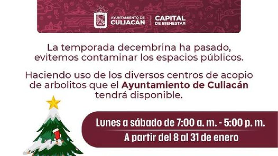 Abren en distintos puntos de Culiacán centros de acopio para árboles navideños