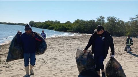 Recogen de la Isla Altamura en Angostura una tonelada de basura y otros desechos