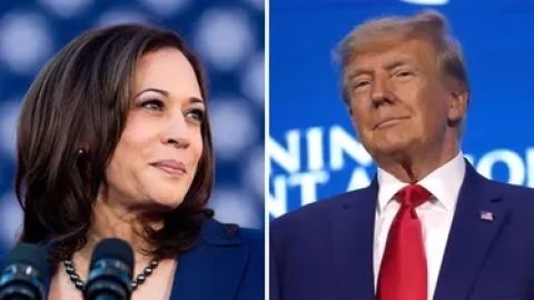 Kamala Harris y Donald Trump en Competencia Ajustada para Elecciones Presidenciales 2024