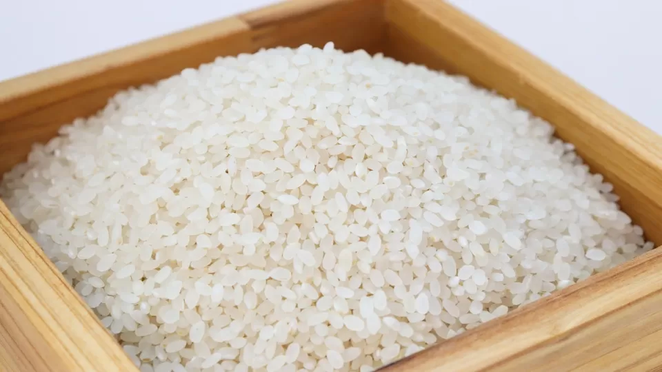 ¿El arroz que comemos tiene plástico? Entérate de lo que dice la Profeco al respecto