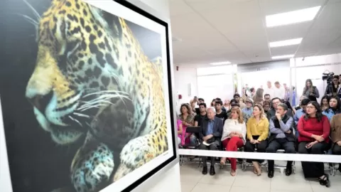 Inauguraron en el Congreso del Estado el edificio "Jaguares: Lourdes Martínez Huerta"