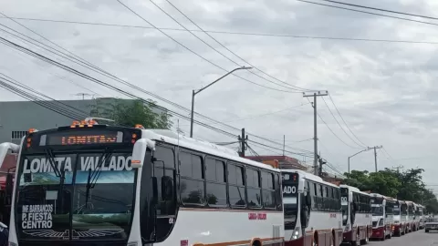 Reordenan transporte público en Sinaloa; verifican que unidades operen con seguro de daños y documentación en regla