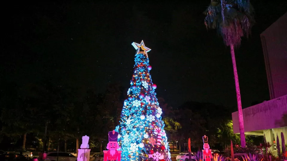 Encienden árbol de Navidad y dan inició al Festival Navideño del ISIC 2024