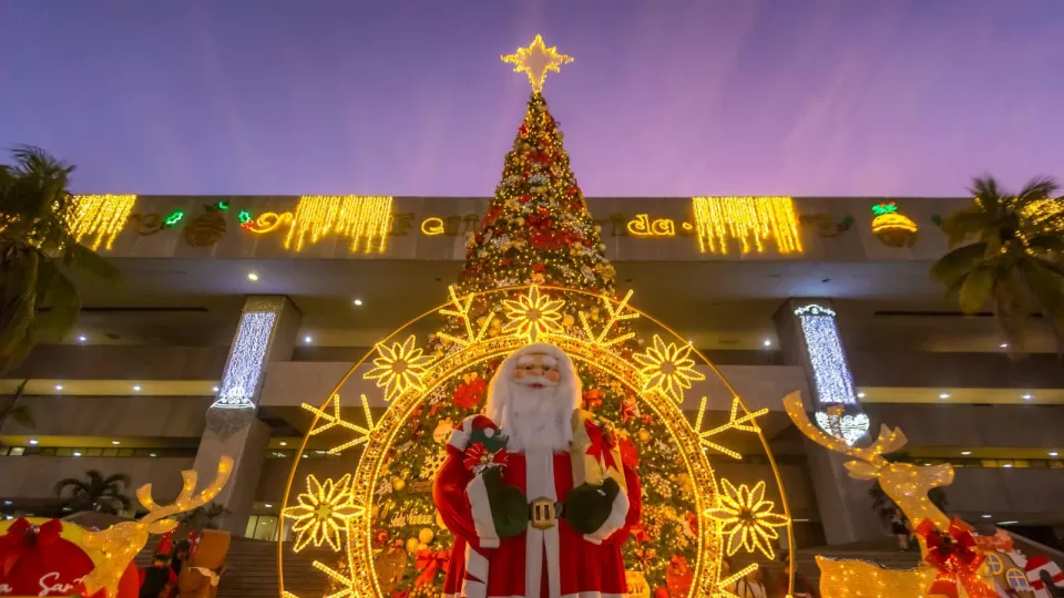 Encienden el tradicional árbol de Navidad en Palacio de Gobierno