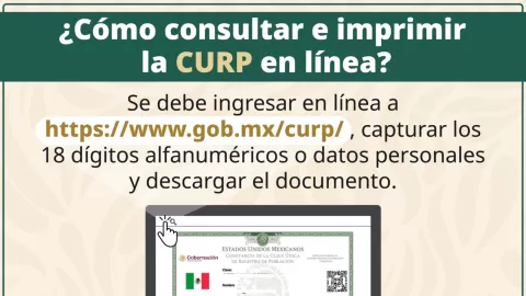 Revisa todos los datos que debes saber de tu CURP