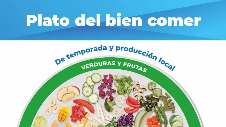 Recomiendan utilizar alimentos del Plato del Bien Comer para preparar platillos para Fin de Año