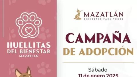 Este sábado en Mazatlán nueva jornada de adopción de perritos y gatitos