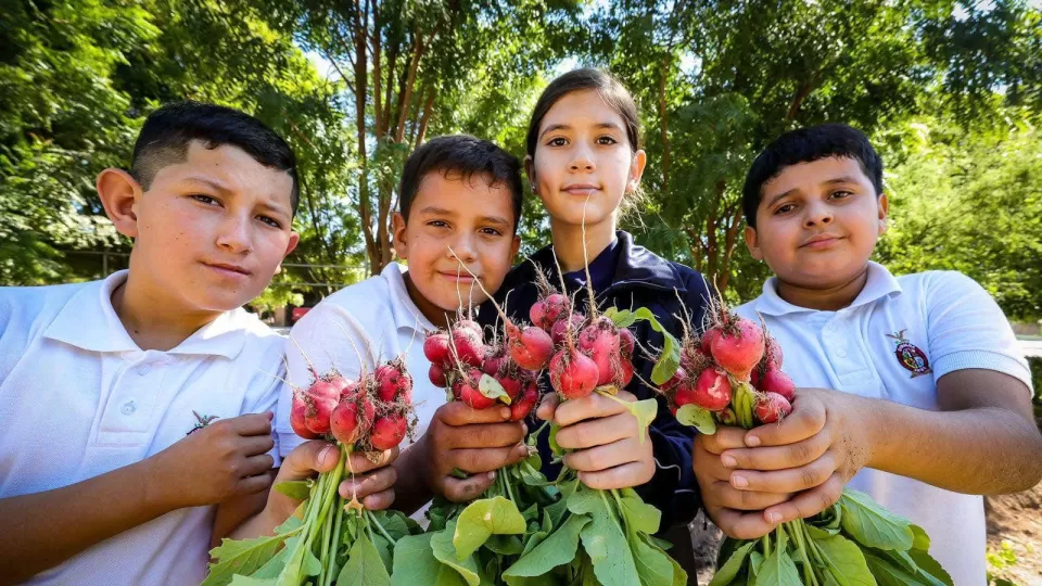 Impulsan en Sinaloa huertos escolares para una educación integral y sustentable