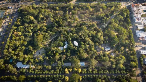 El Jardín Botánico de Culiacán celebra 39 años