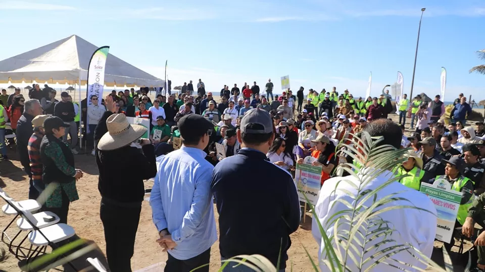 Impulsan el Programa de Limpieza de Playas y Medio Ambiente