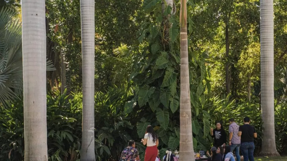 Disfruta de actividades diversas en el Jardín Botánico de Culiacán