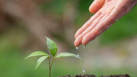 Jardín Botánico de Culiacán te invita a participar en el Día Mundial de la Tierra