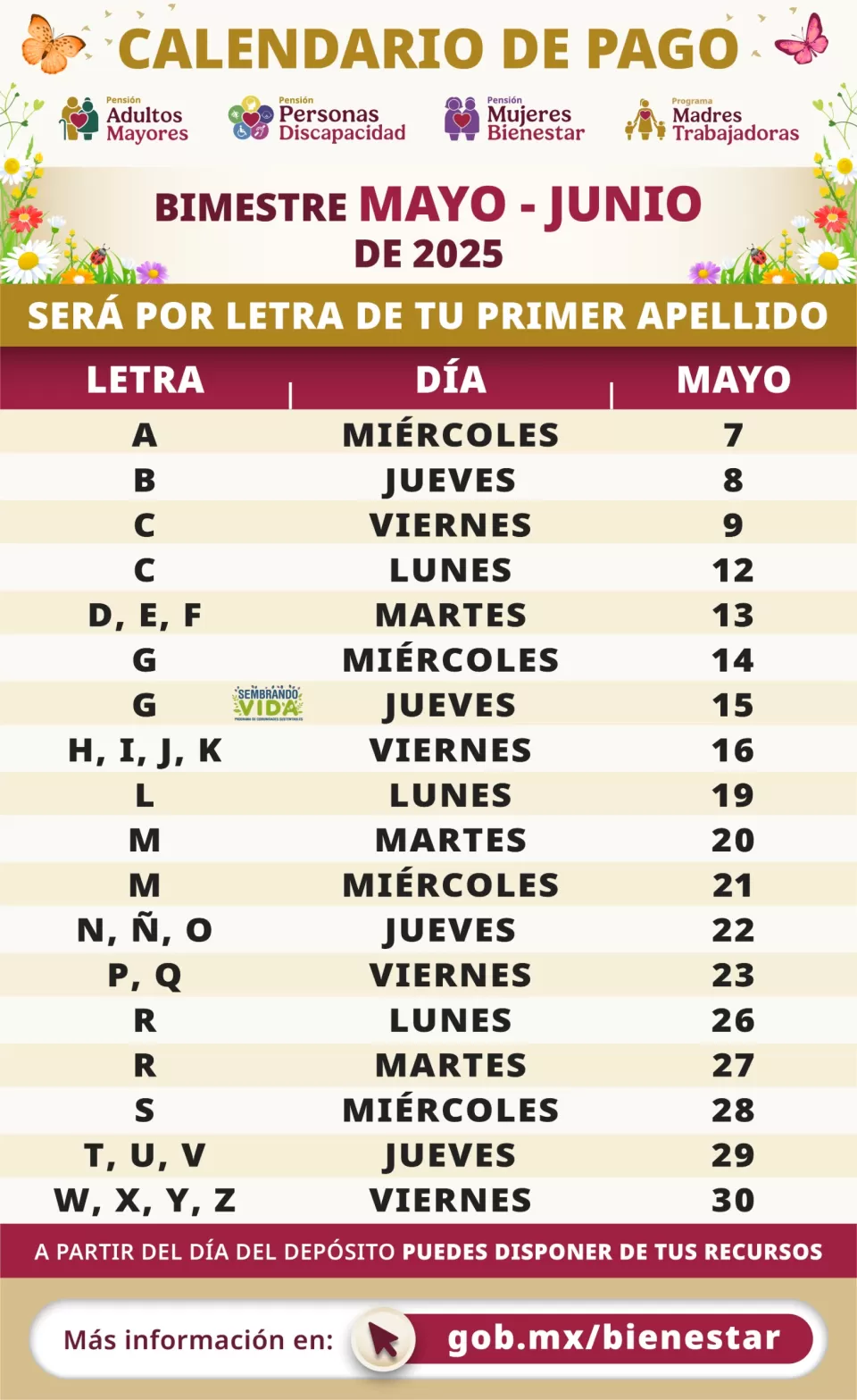 Calendario de Pago
