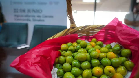 Visita este domingo la Expo Ciruela 2025 en Aguacaliente de Gárate, Concordia