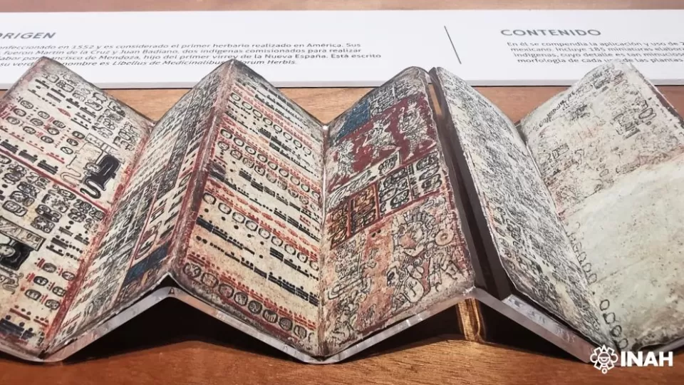 Foto: Guillermo Campos.