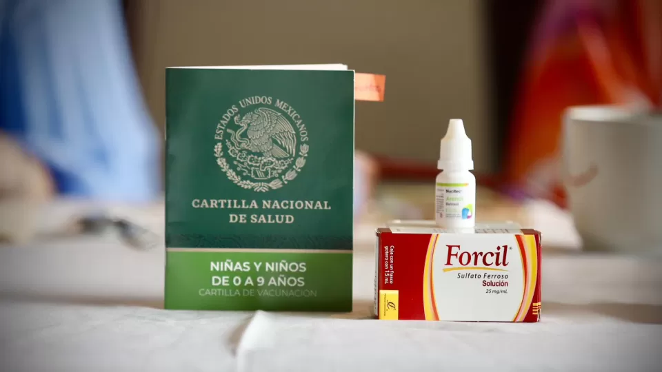 La Secretaría de Salud de Sinaloa presentó el Proyecto Estatal de Nutrición en la Infancia