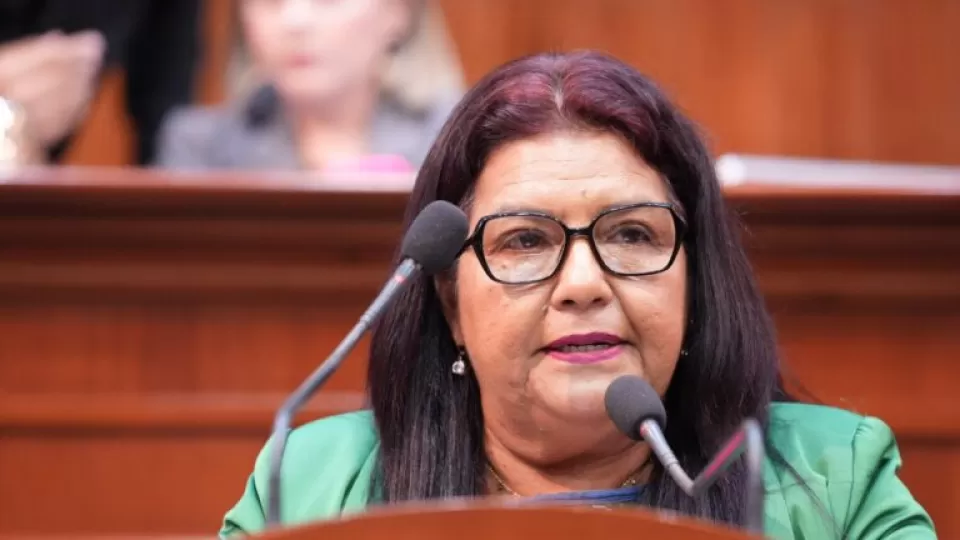 “La identidad legal es la puerta de entrada al ejercicio pleno de los derechos humanos”: diputada Reynalda Leyva