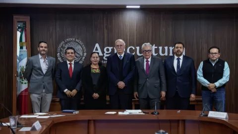 Anuncian las medidas acordadas con la empresa MASECA para activar la comercialización de maíz en Sinaloa