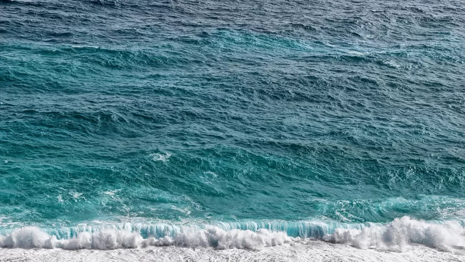 Bacterias serían útiles para descontaminar el mar y las playas al degradar hidrocarburos y plásticos: UNAM